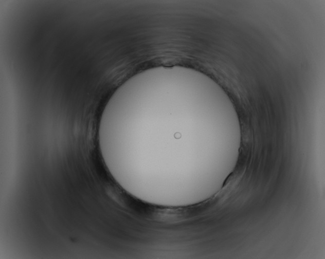 X0000088150082200705141100