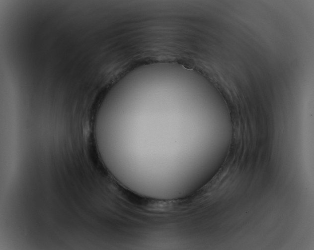 X0000088150084200705141100