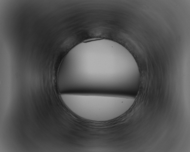 X0000088150085200705141100