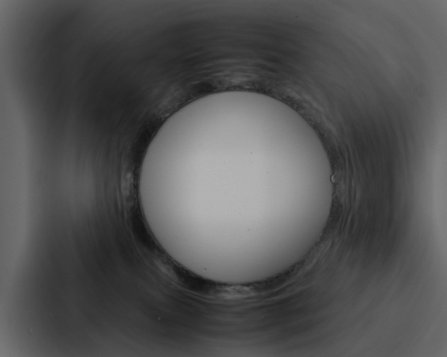 X0000088150087200705141100