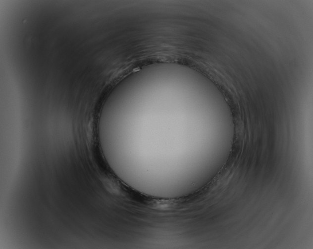 X0000088150088200705141100