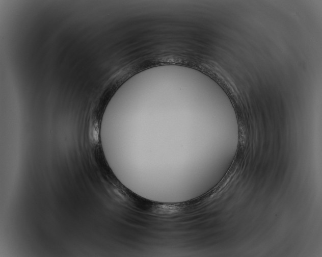 X0000088150095200705141100