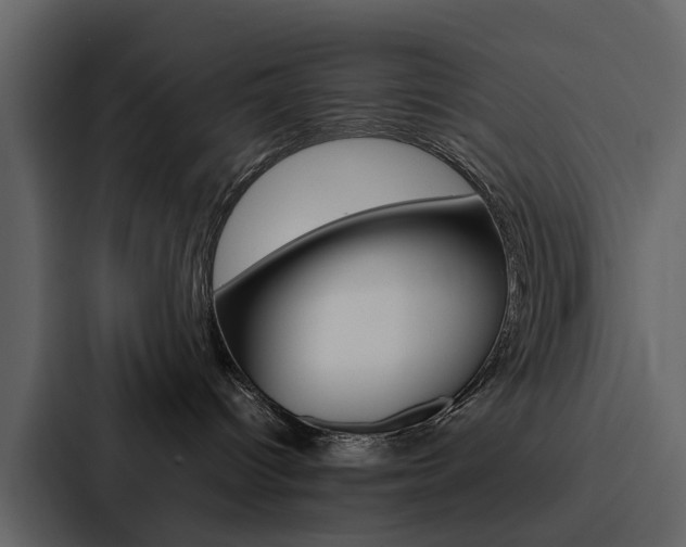 X0000088150096200705141100