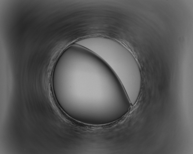 X0000088150097200705141059