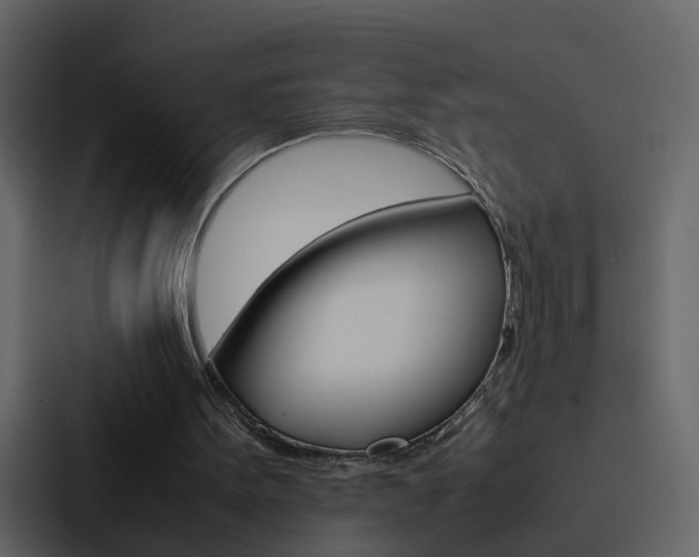 X0000088150099200705141059