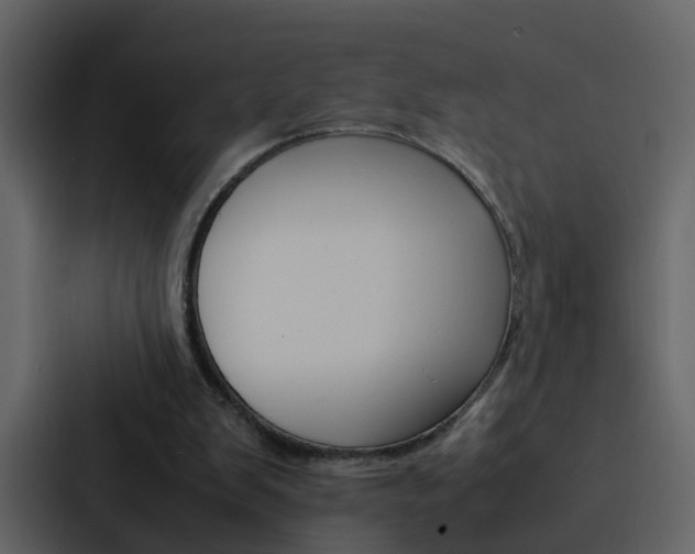 X0000088150103200705141059