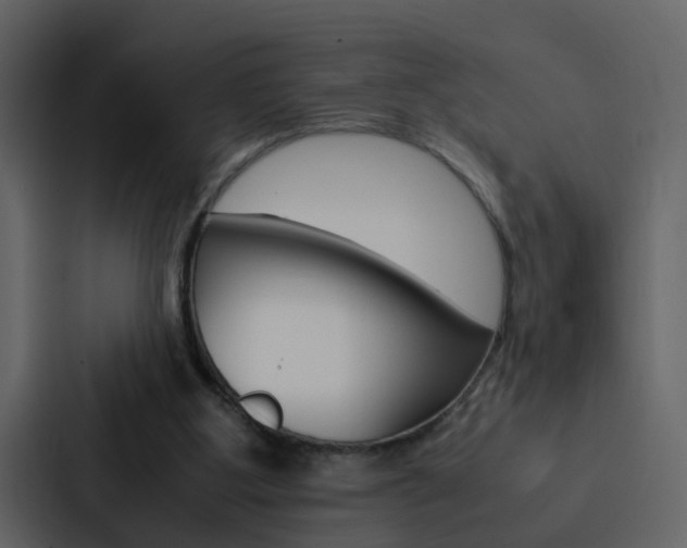 X0000088150107200705141059
