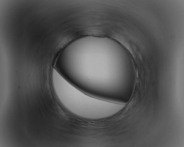 X0000088150109200705141059