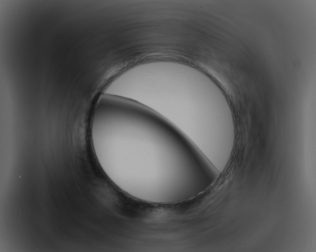 X0000088150111200705141059