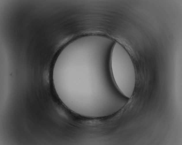 X0000088150112200705141059
