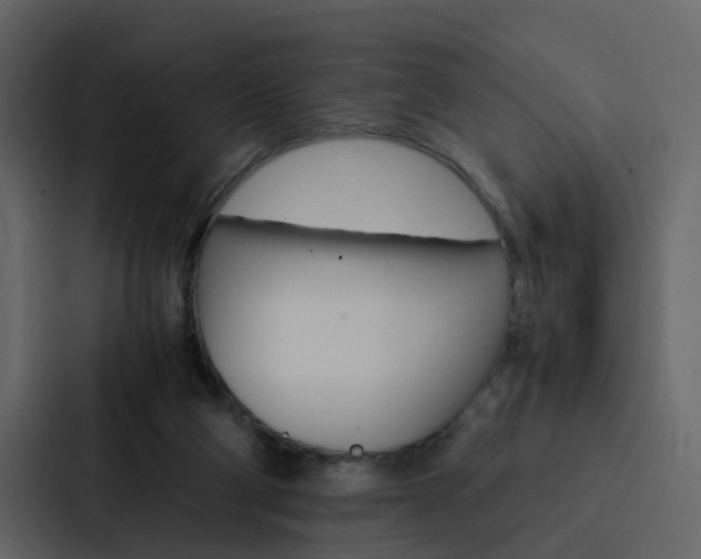 X0000088150114200705141059