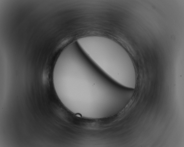X0000088150116200705141059