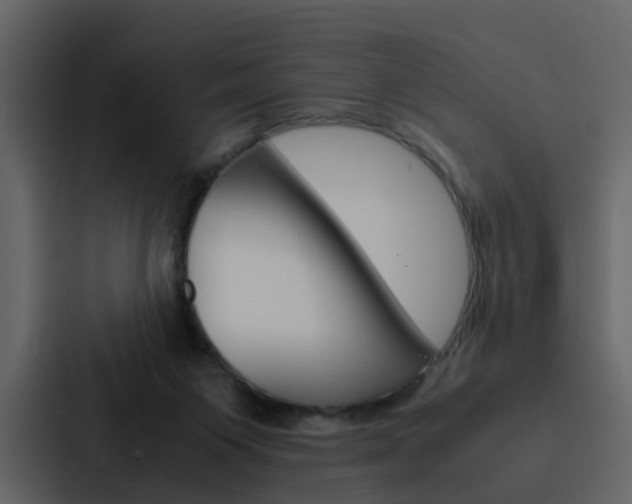 X0000088150119200705141059