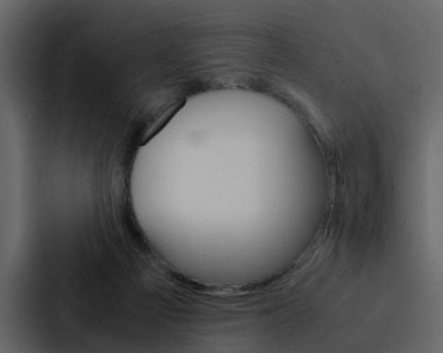 X0000088150121200705141059
