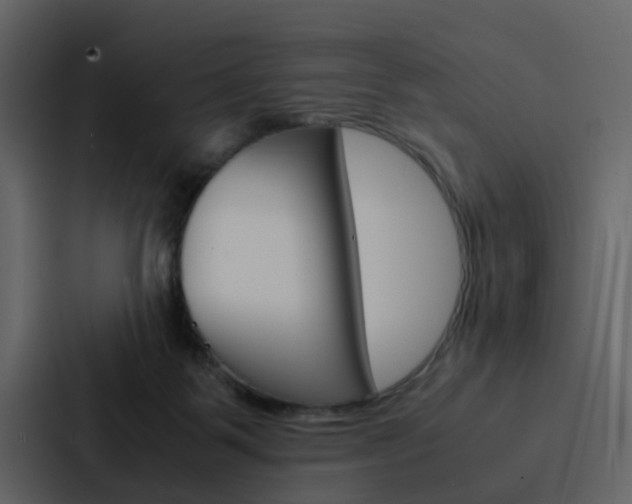 X0000088150123200705141059