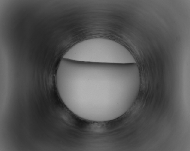 X0000088150126200705141059