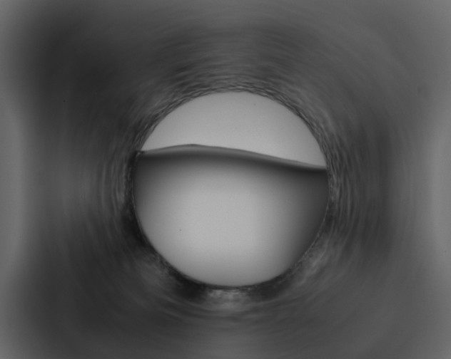 X0000088150133200705141059