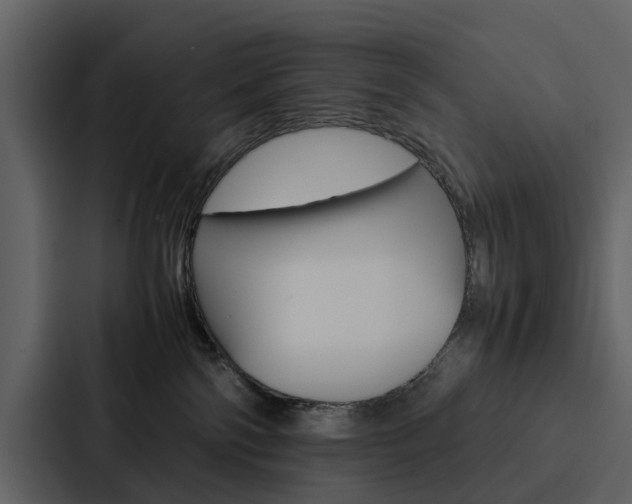 X0000088150138200705141059