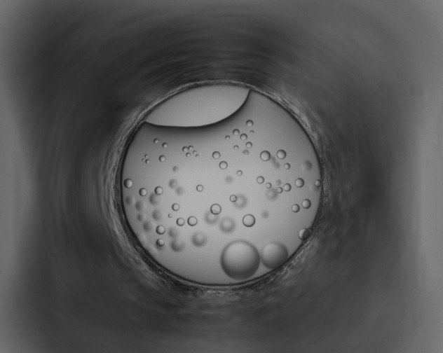 X0000088150145200705141058