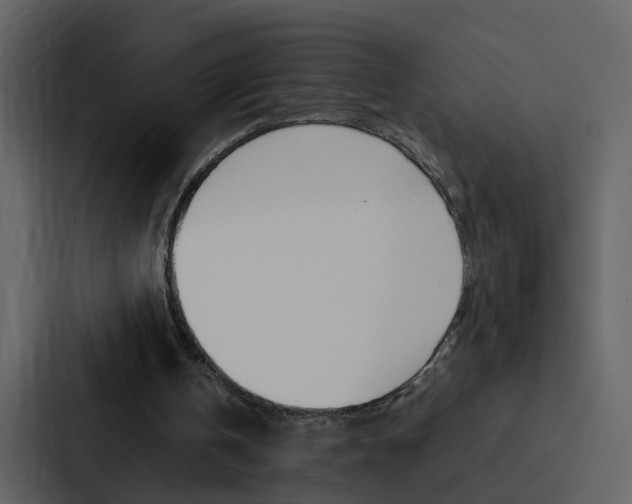 X0000088150146200705141058