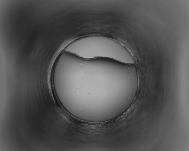 X0000088150147200705141058
