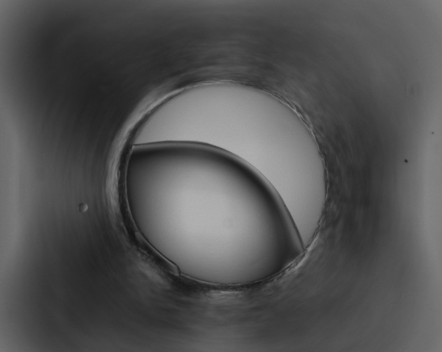 X0000088150150200705141058