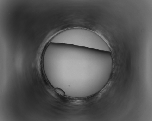 X0000088150151200705141058