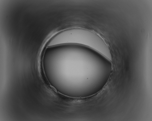 X0000088150152200705141058