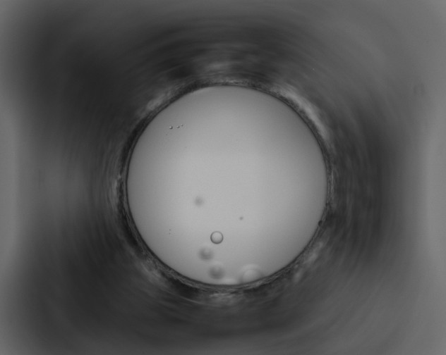 X0000088150153200705141058