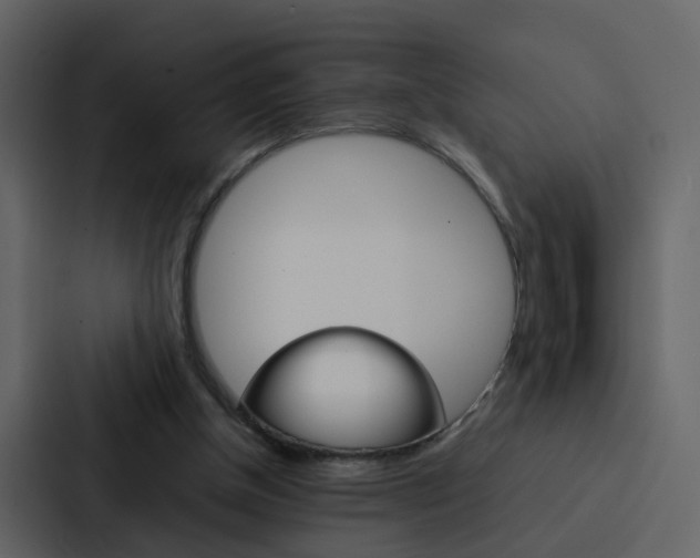 X0000088150154200705141058