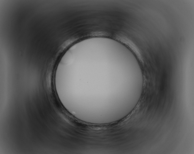 X0000088150155200705141058