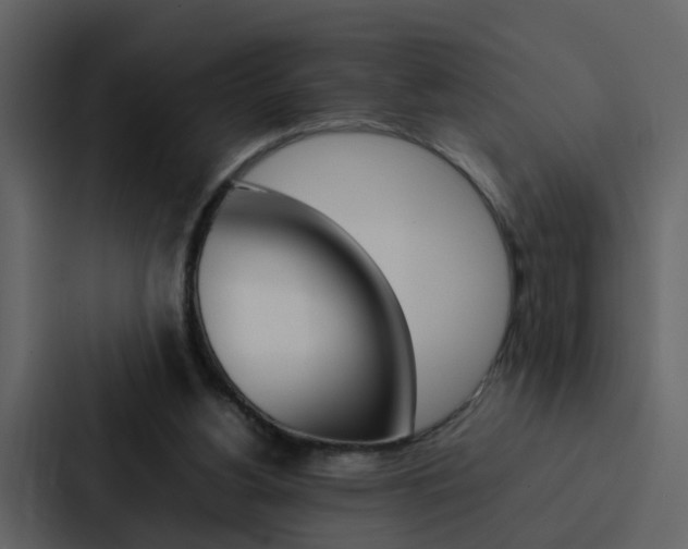 X0000088150156200705141058