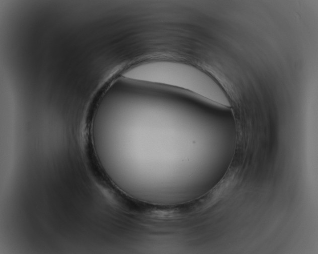 X0000088150160200705141058