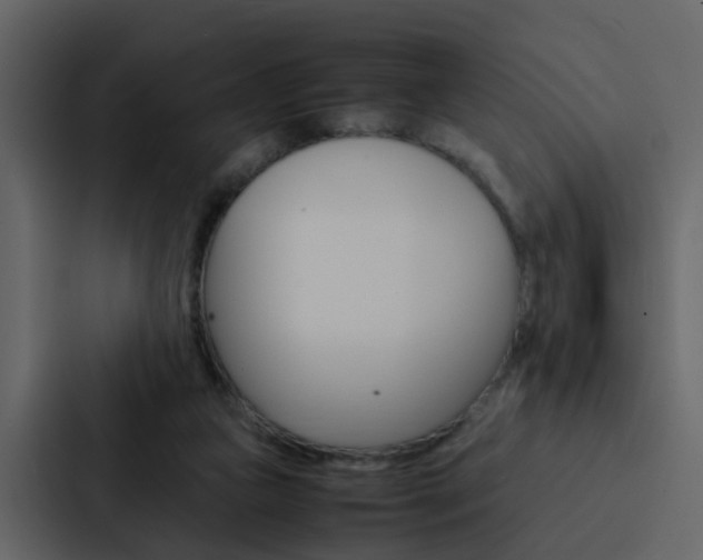 X0000088150161200705141058