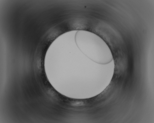 X0000088150162200705141058