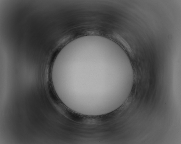 X0000088150163200705141058