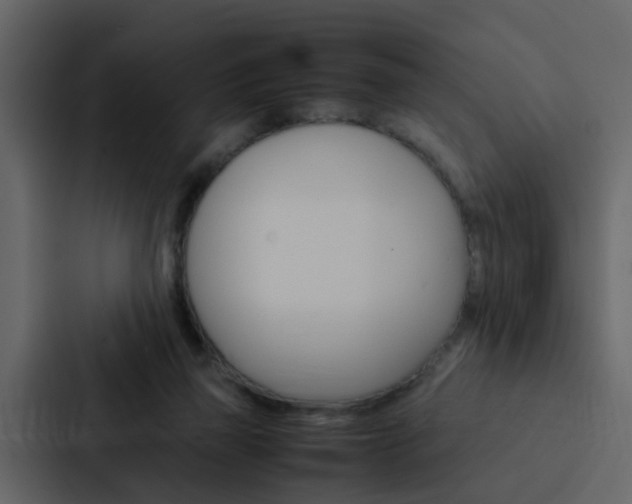 X0000088150165200705141058