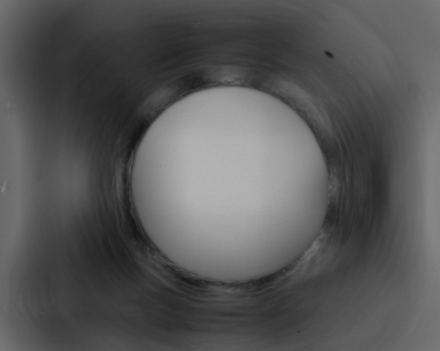 X0000088150167200705141058