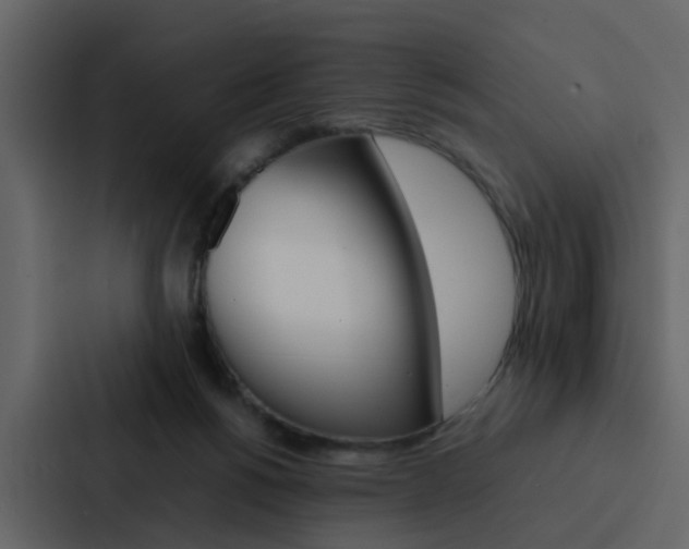 X0000088150168200705141058