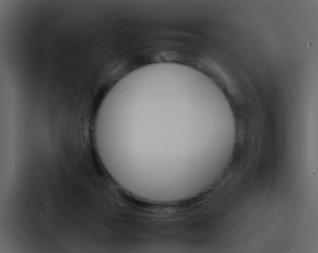 X0000088150169200705141058