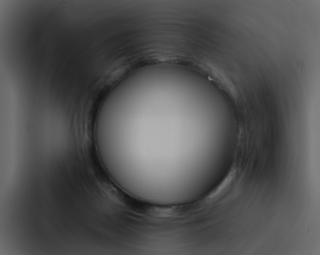 X0000088150170200705141058