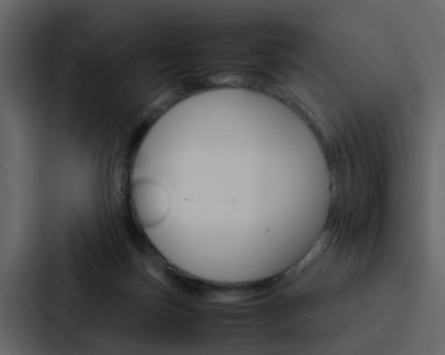 X0000088150171200705141058