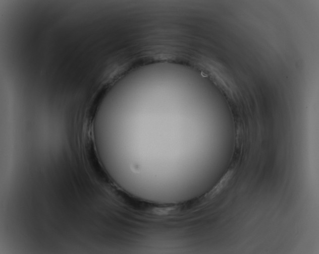 X0000088150172200705141058