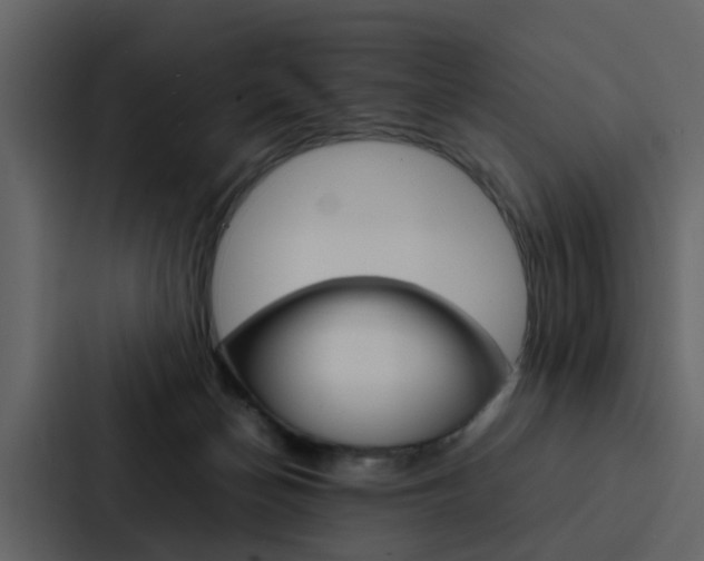X0000088150174200705141058