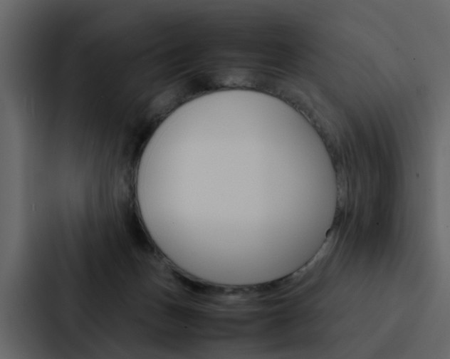 X0000088150175200705141059