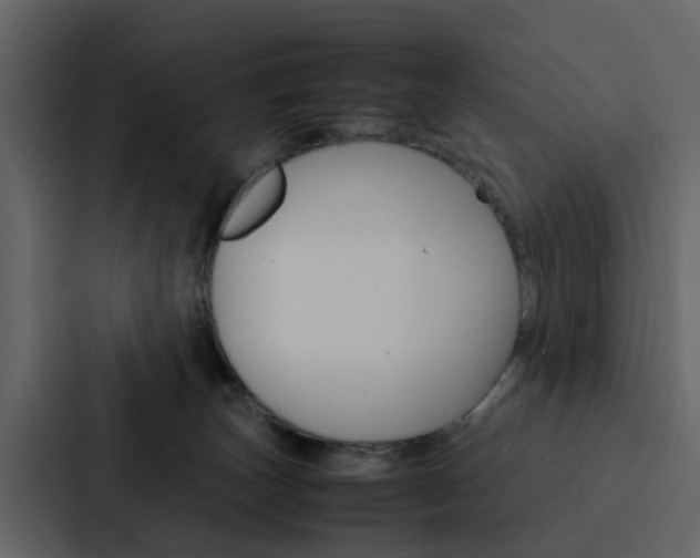 X0000088150179200705141059