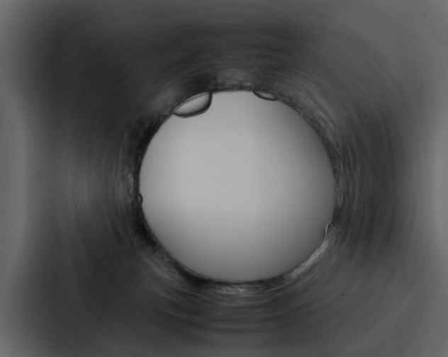 X0000088150183200705141059
