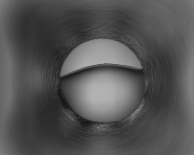 X0000088150186200705141059