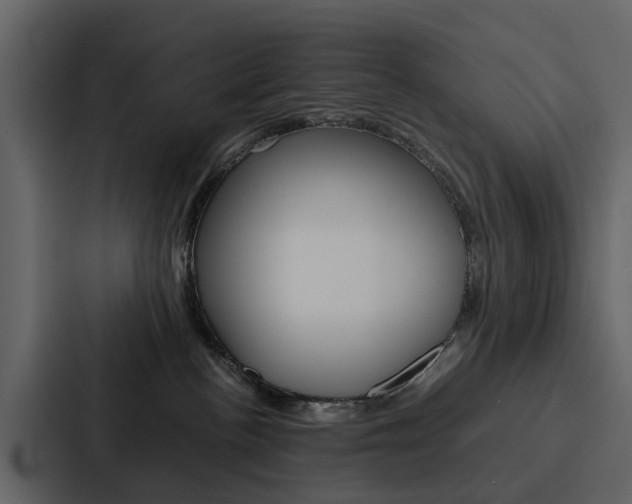 X0000088150188200705141059