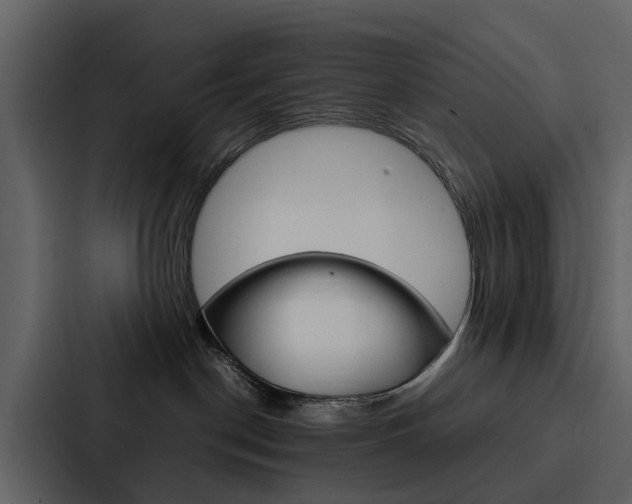 X0000088150190200705141059